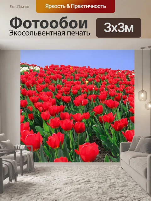 Фотообои Тюльпан