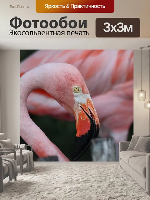 Фотообои Фламинго