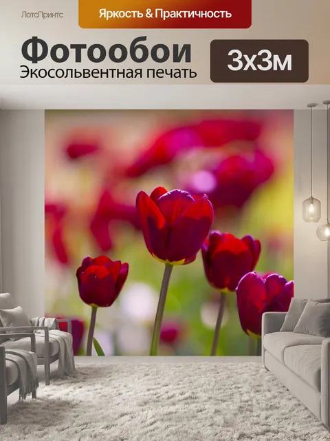Фотообои Цветы