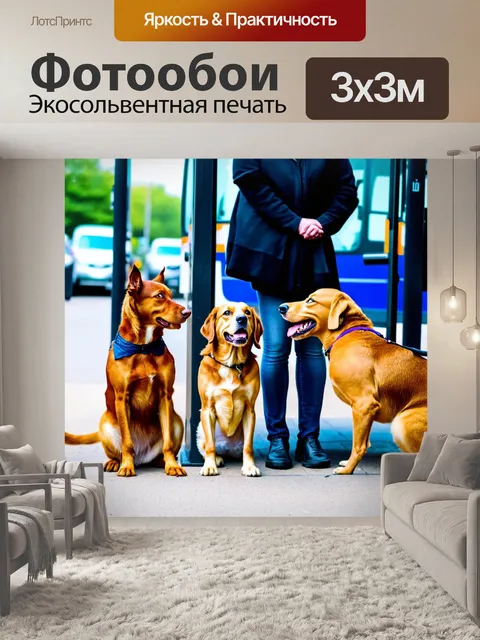 Фотообои собаки, провожающие своих владельцев на автобусной остановке