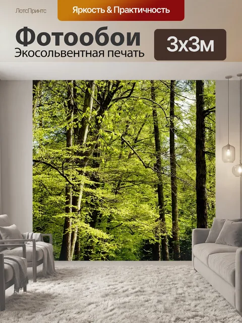 Фотообои Дорога