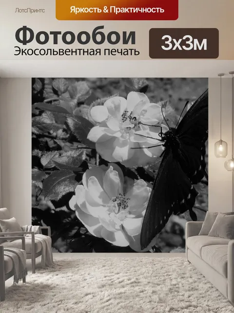 Фотообои Черное и белое