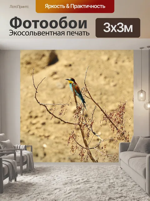Фотообои Золотистая щурка