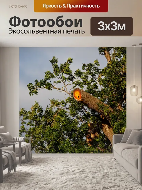 Фотообои Дерево