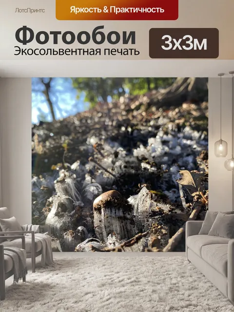 Фотообои Утро