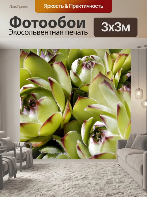 Фотообои Сады