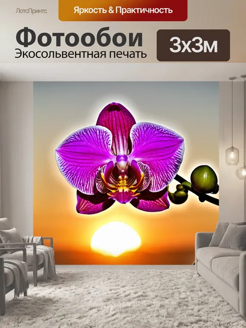 Фотообои орхидея, распускающаяся на фоне восходящего солнца, символизируя новое начало