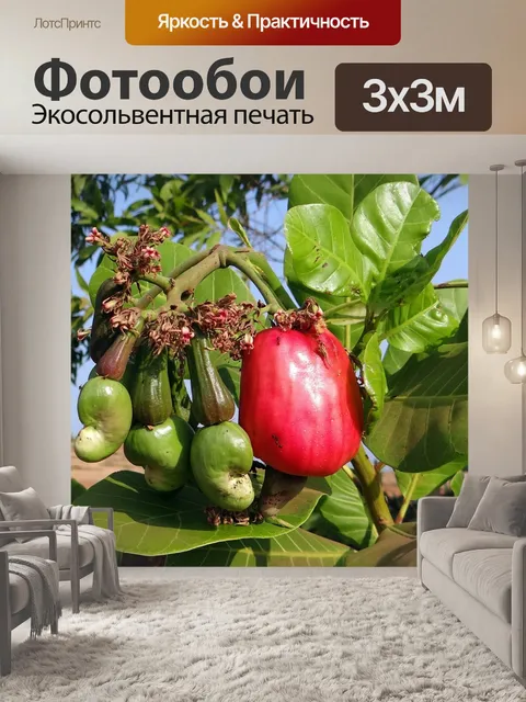 Фотообои Кешью