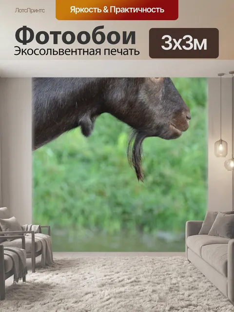 Фотообои 03 коз
