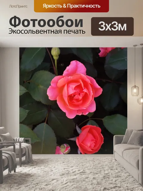 Фотообои Цветы