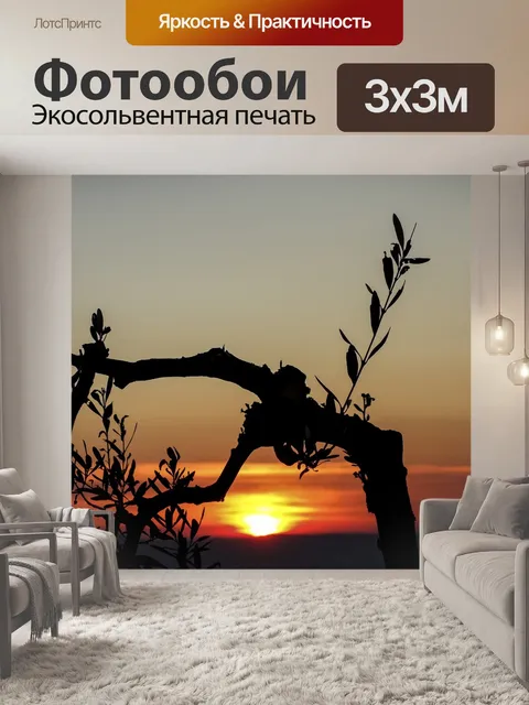 Фотообои Заход солнца