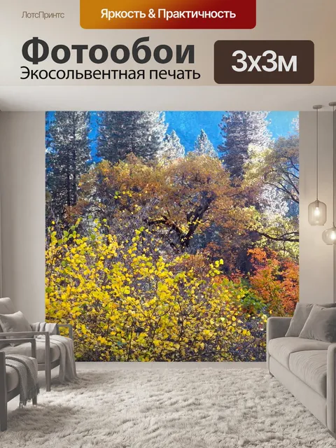 Фотообои Лес