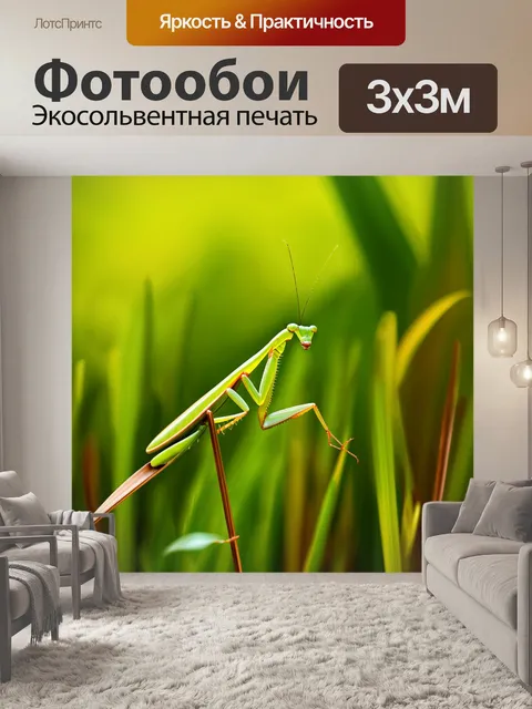 Фотообои промт: эллегантный богомол на высоком стебле травы