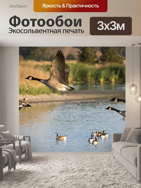 Фотообои Гуси
