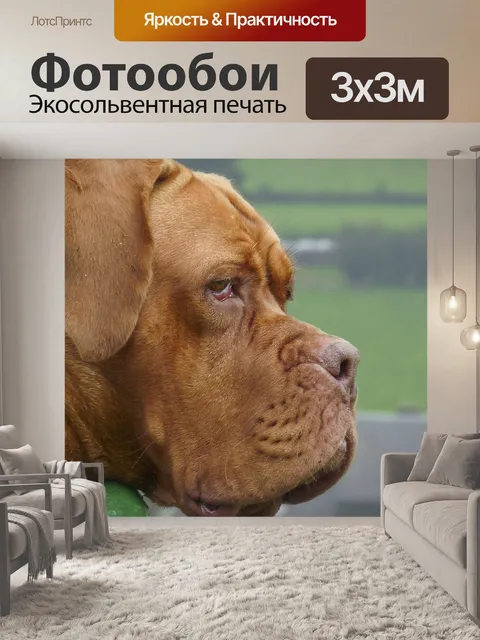 Фотообои Природа