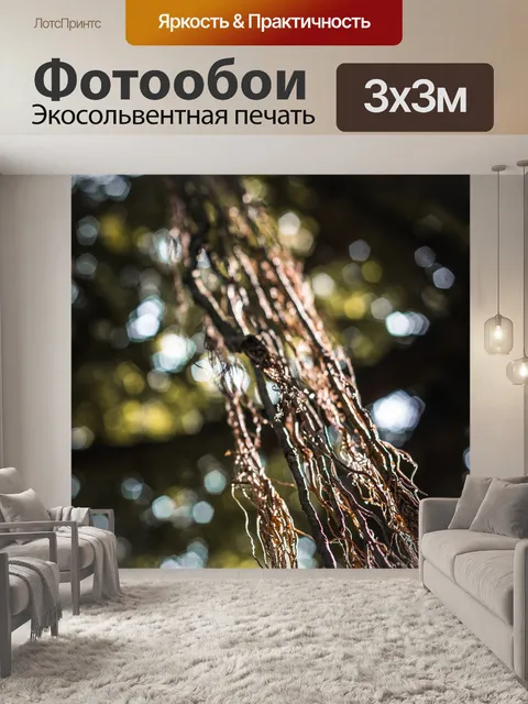 Фотообои Джунгли