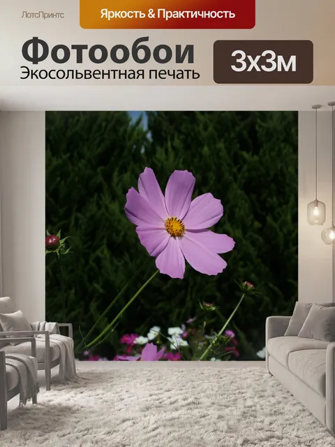 Фотообои Цветы