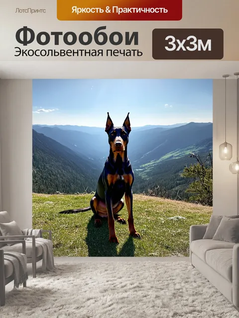Фотообои доберман, сидящий на вершине холма, с видом на панораму долины, залитую солнечным светом