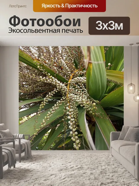 Фотообои растительная жизнь
