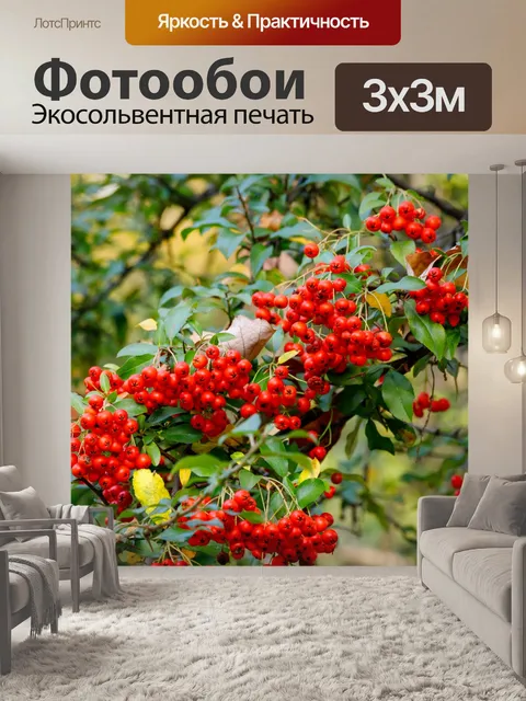 Фотообои Ботанический сад в Быдгоще