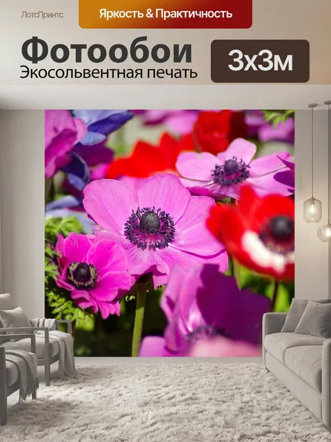 Фотообои Анемоны