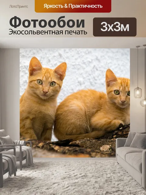 Фотообои Кошки