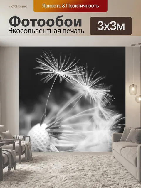 Фотообои Одуванчик