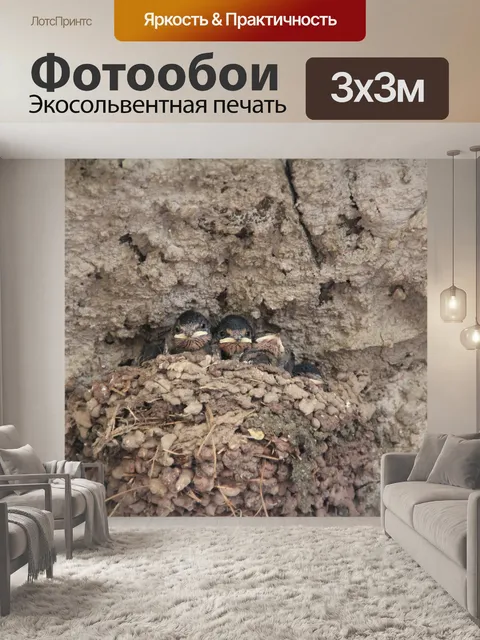 Фотообои Птицы