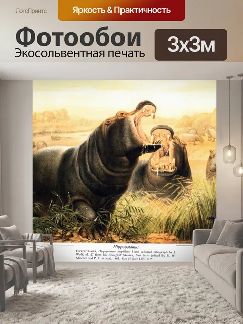 Фотообои Винтажное Искусство Бегемот Бегемот