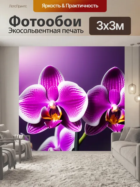 Фотообои с орхидеями минимал
