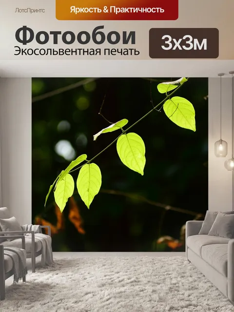 Фотообои То