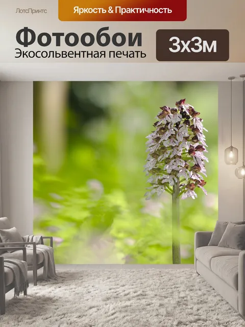 Фотообои Цветок
