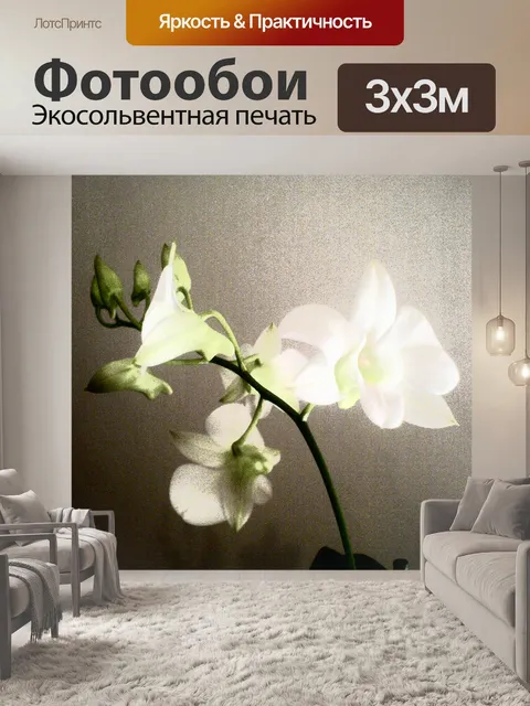 Фотообои Орхидея