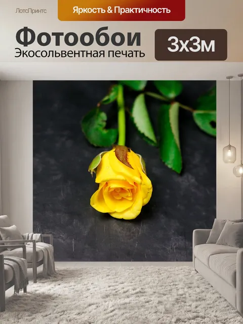 Фотообои Роза