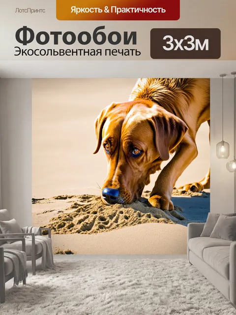 Фотообои лабрадор, рисующий своим носом на песке, творческий процесс, забавный момент