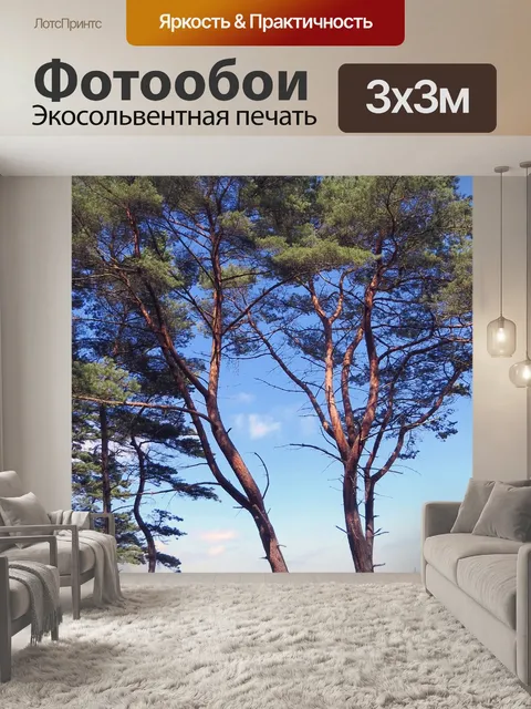 Фотообои Деревья