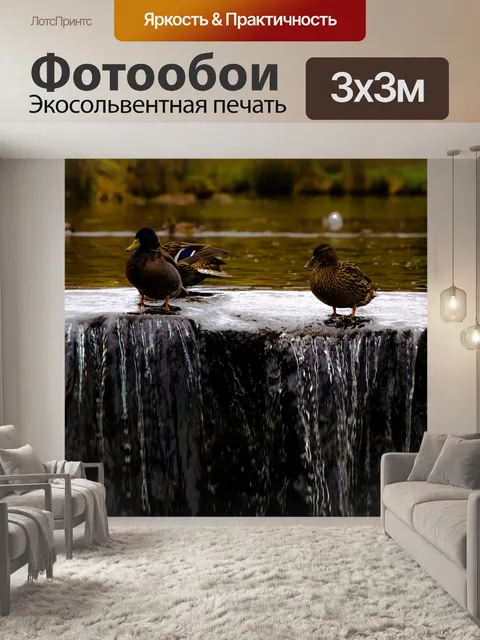 Фотообои Утка