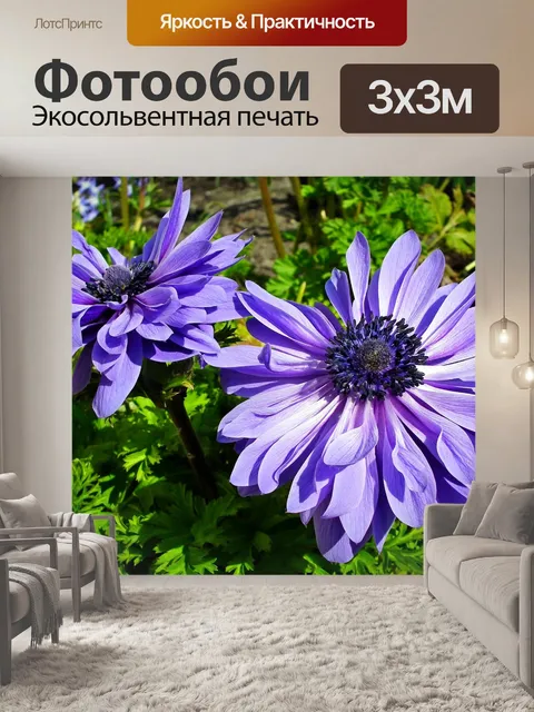 Фотообои Анемоны