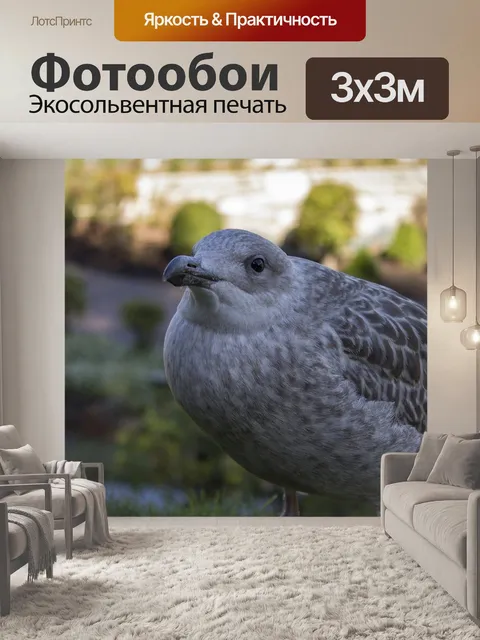Фотообои Птица