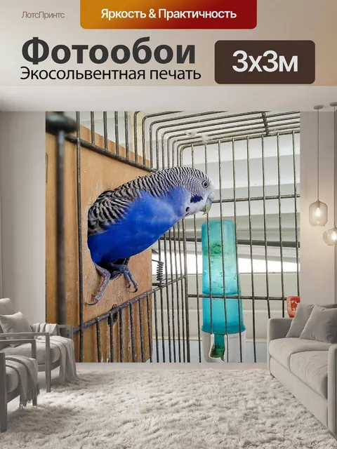 Фотообои Птицы