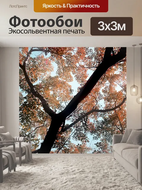 Фотообои Полога 03