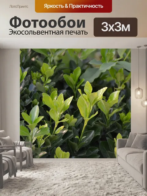 Фотообои Листья