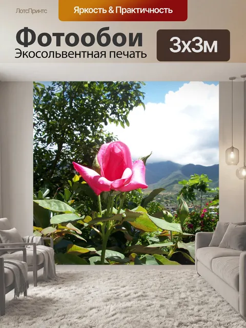 Фотообои Роуз