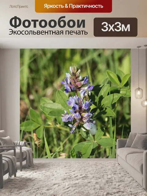 Фотообои Высокий хлеб Скульфпеа Полевые цветы