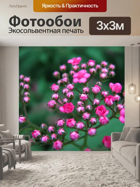 Фотообои Цветок