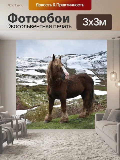 Фотообои Лошадь