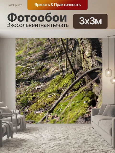 Фотообои Мох