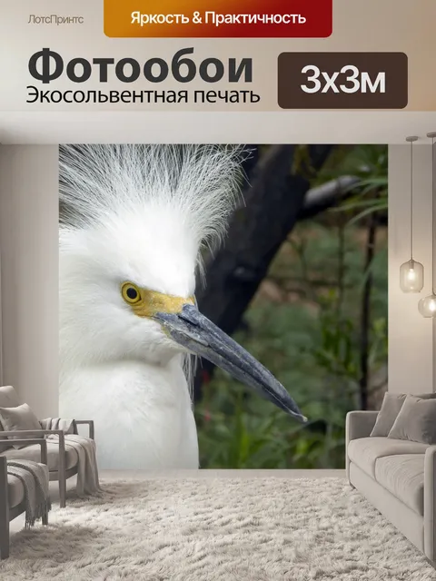 Фотообои Снежная цапля