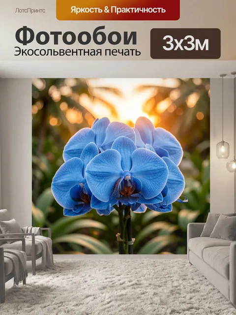 Фотообои Голубые орхидеи в мягком свете