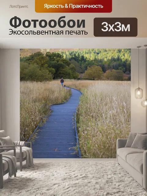 Фотообои Деревянный тротуар и трава Осень